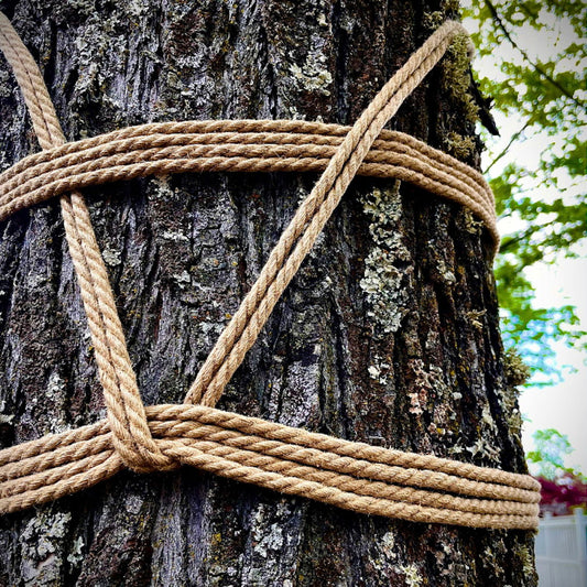 Intro To Intentional Kink with Mx Knotty - Ashland - 24 Oct 2025