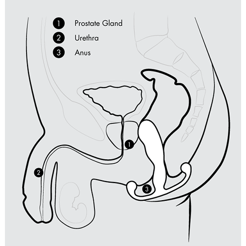 Helix Diagram