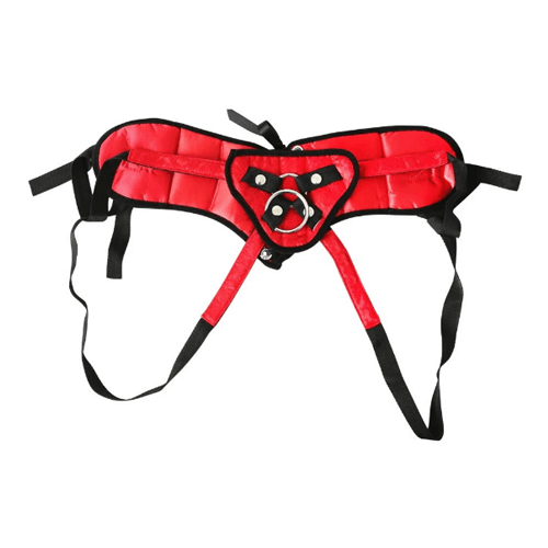 Red Lace Corsette Harness