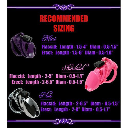 The Vice Plus Chastity Device