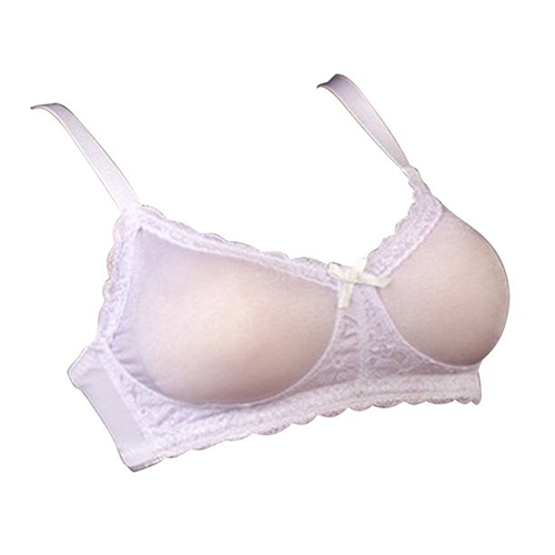 Sheer Pocket Bra for Breast Forms