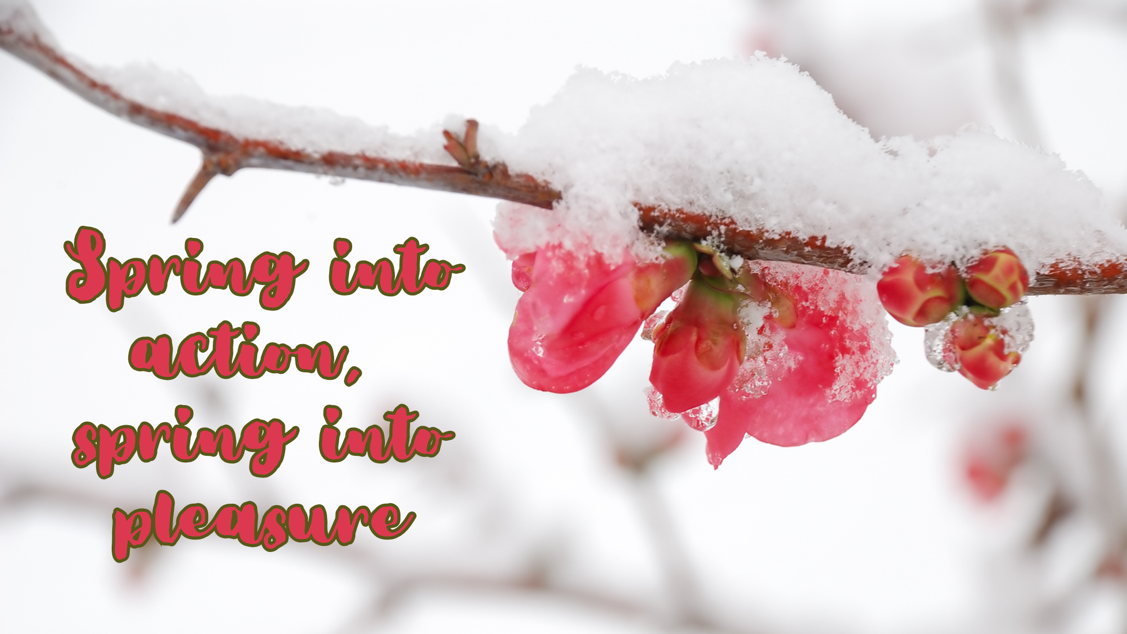 Spring into action, spring into pleasure – As You Like It