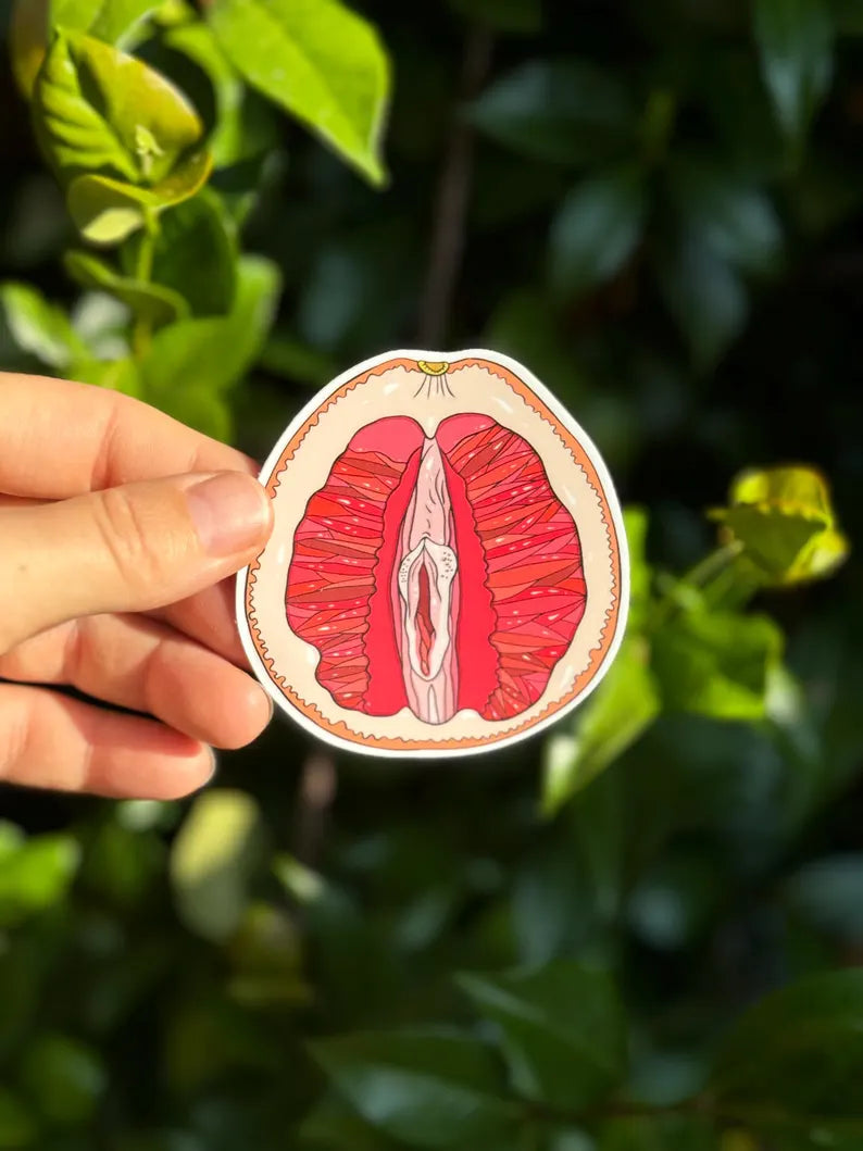 Fruit Vulva Stickers