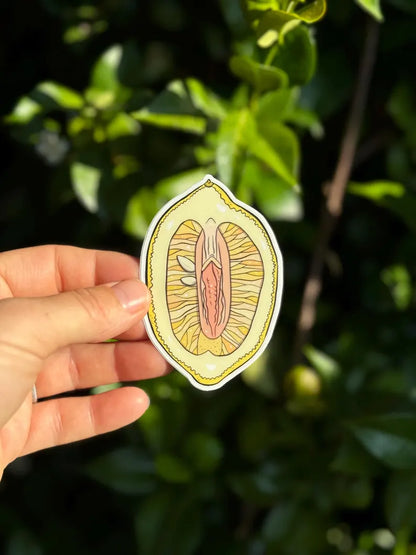 Fruit Vulva Stickers