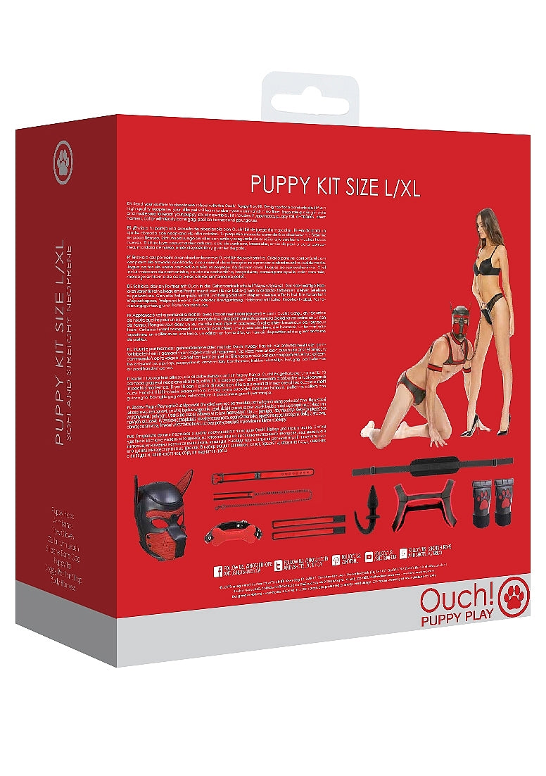 Puppy Play Starter Kit