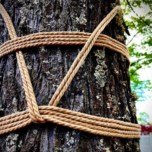 Rope Bondage Fundamentals 2 with Mx. Knotty- Eugene - 29 Jun 2025