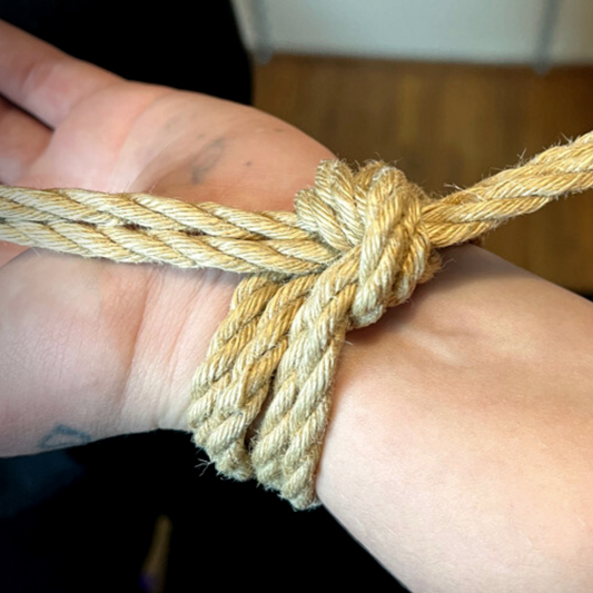 Rope Bondage Fundamentals 1- Ashland