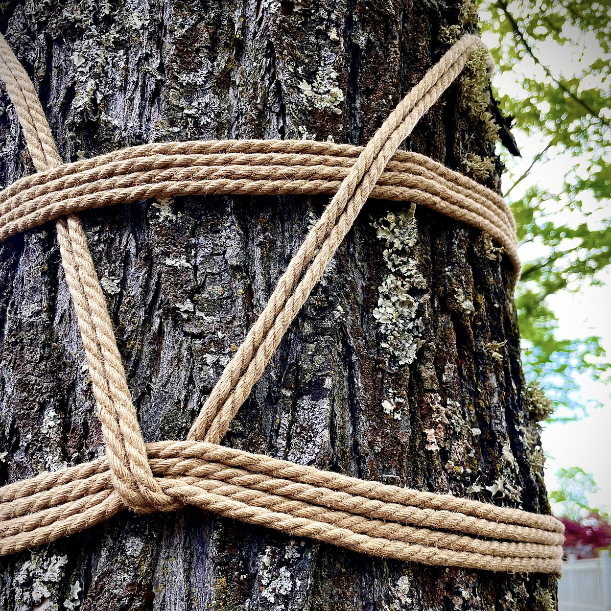 Rope 102: Basic Harnesses with Knotty Productions